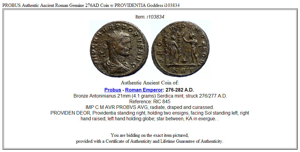 PROBUS Authentic Ancient Roman Genuine 276AD Coin w PROVIDENTIA Goddess i103834