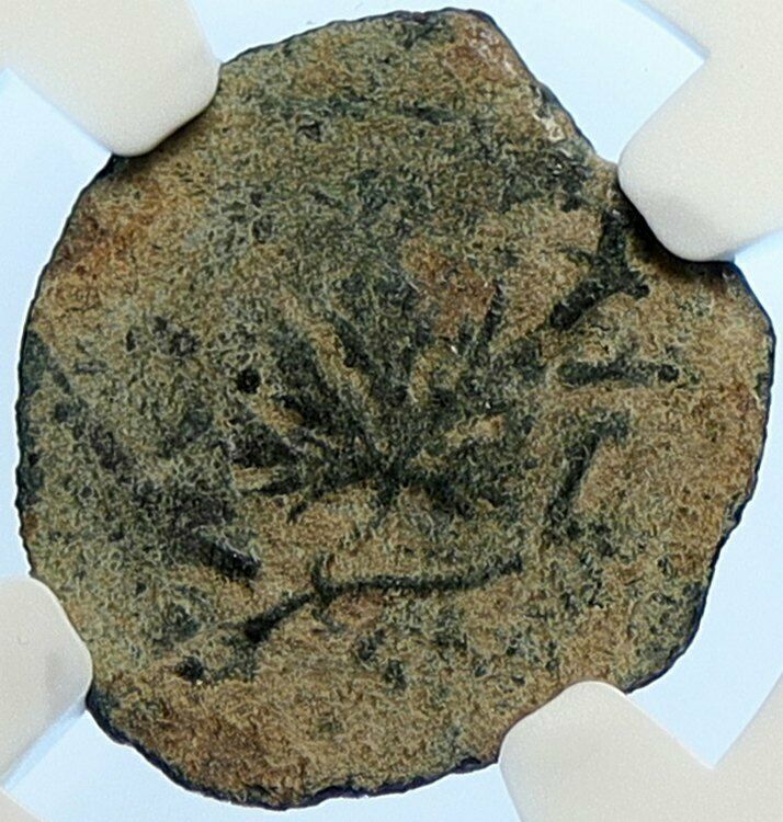 Authentic Ancient JEWISH WAR v ROMAN 68AD Yr3 JERUSALEM Coin AMPHORA NGC i106484