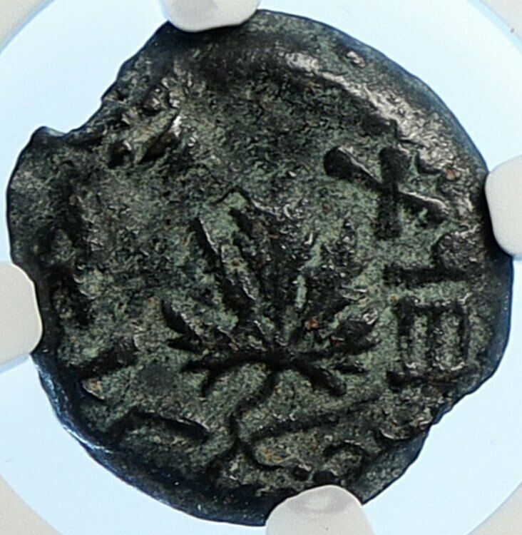 Authentic Ancient JEWISH WAR v ROMANS Yr 2 Historical JERUSALEM Coin NGC i106491