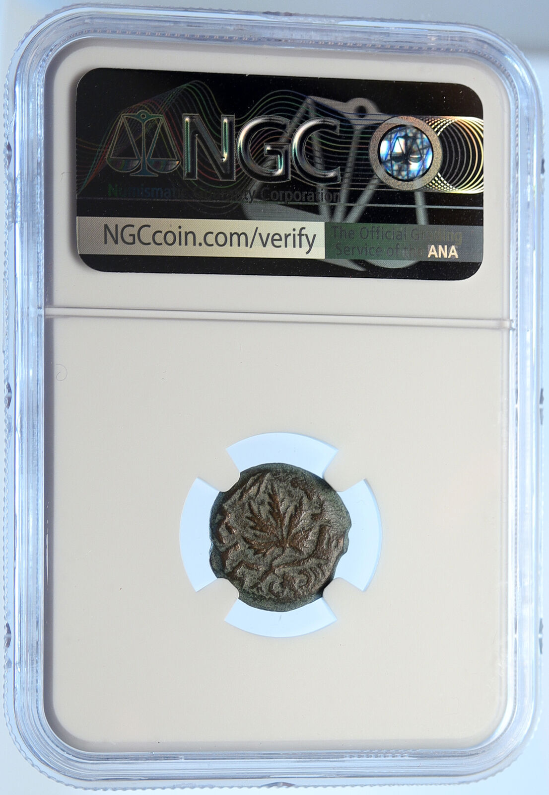 Authentic Ancient JEWISH WAR v ROMANS Yr 2 Historical JERUSALEM Coin NGC i106488