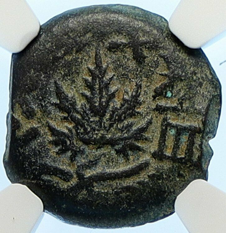 Authentic Ancient JEWISH WAR v ROMANS Yr 2 Historical JERUSALEM Coin NGC i106492