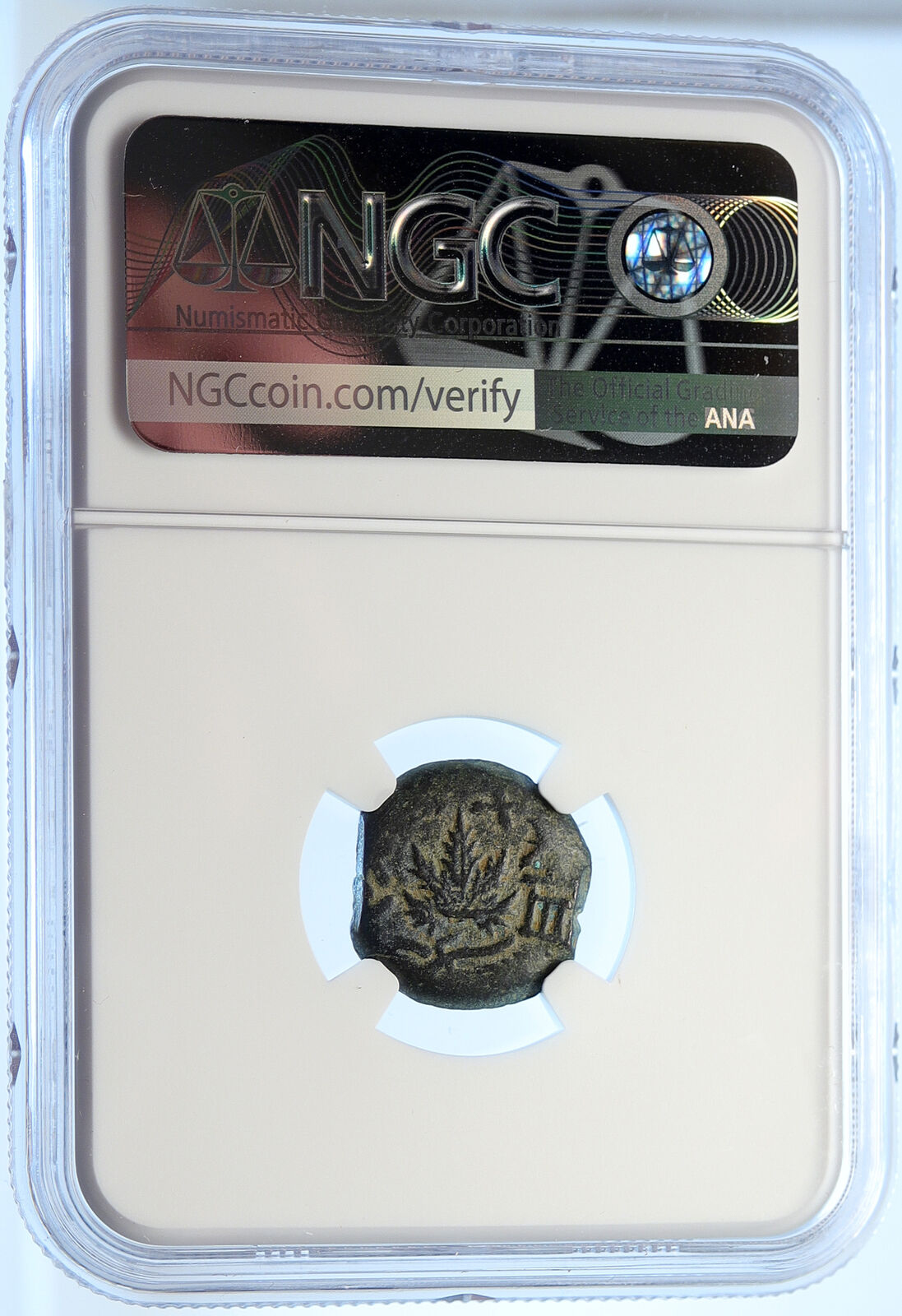 Authentic Ancient JEWISH WAR v ROMANS Yr 2 Historical JERUSALEM Coin NGC i106492