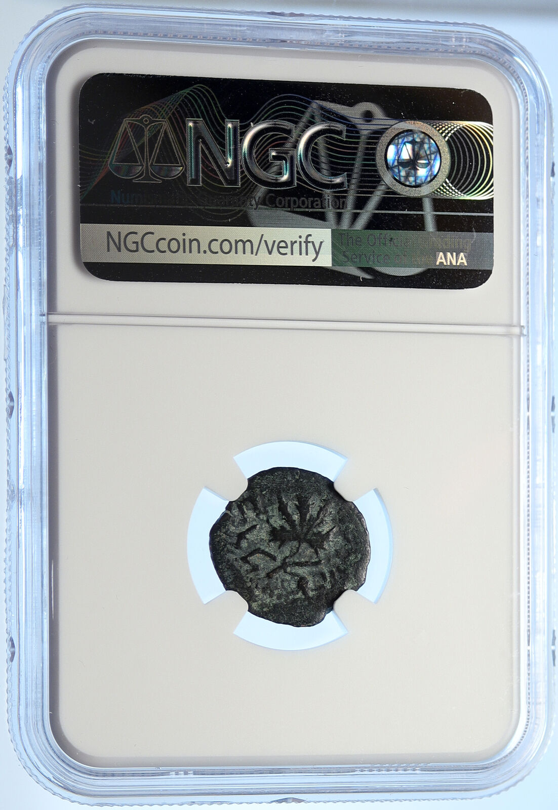 Authentic Ancient JEWISH WAR v ROMANS Yr 2 Historical JERUSALEM Coin NGC i106495