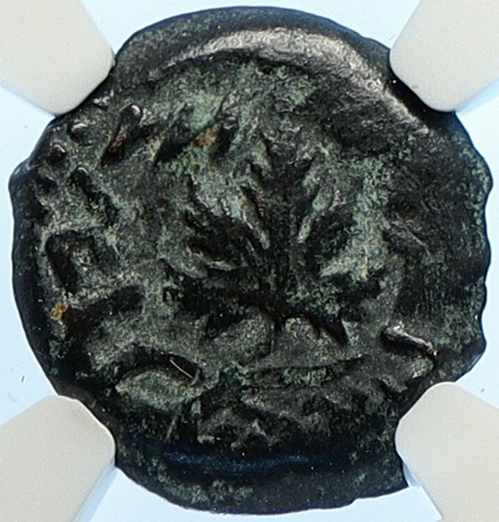 Authentic Ancient JEWISH WAR v ROMANS Yr 2 Historical JERUSALEM Coin NGC i106497