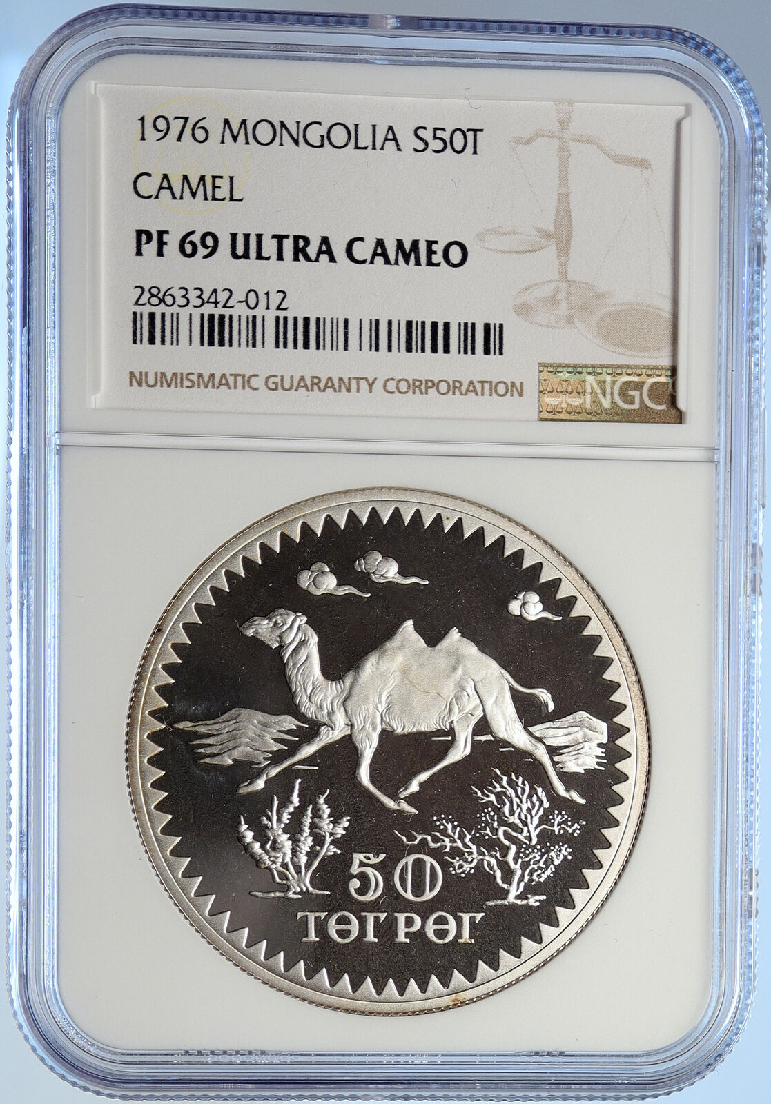 1976 MONGOLIA Conservation Arfali Sheep Proof Silver 50 Togrog Coin NGC i106537