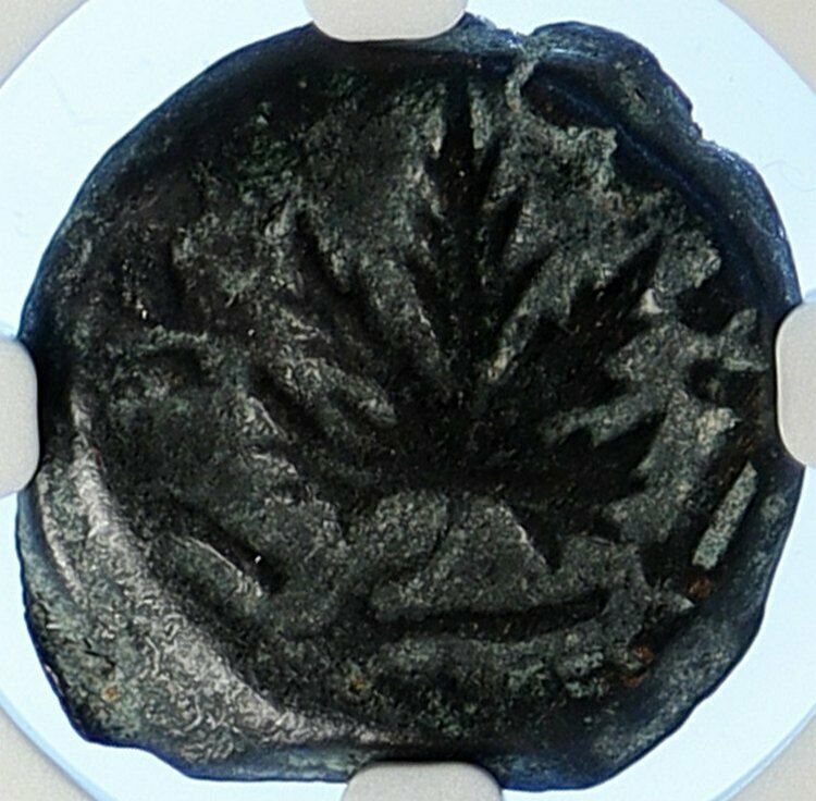 Authentic Ancient JEWISH WAR v ROMANS Yr 2 Historical JERUSALEM Coin NGC i106506