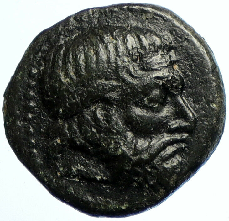 SEUTHES III Odrysian King of Thrace Authentic Ancient RARE Greek Coin i103471