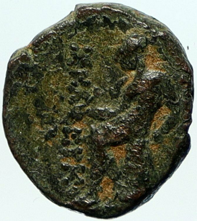 SELEUKOS III Keraunos 225BC Seleukid Ancient Greek Coin ARTEMIS APOLLO i104232