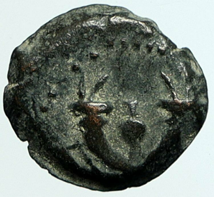 ALEXANDER JANNAEUS Biblical Jerusalem Ancient Jewish Widow's Mite Coin i104537