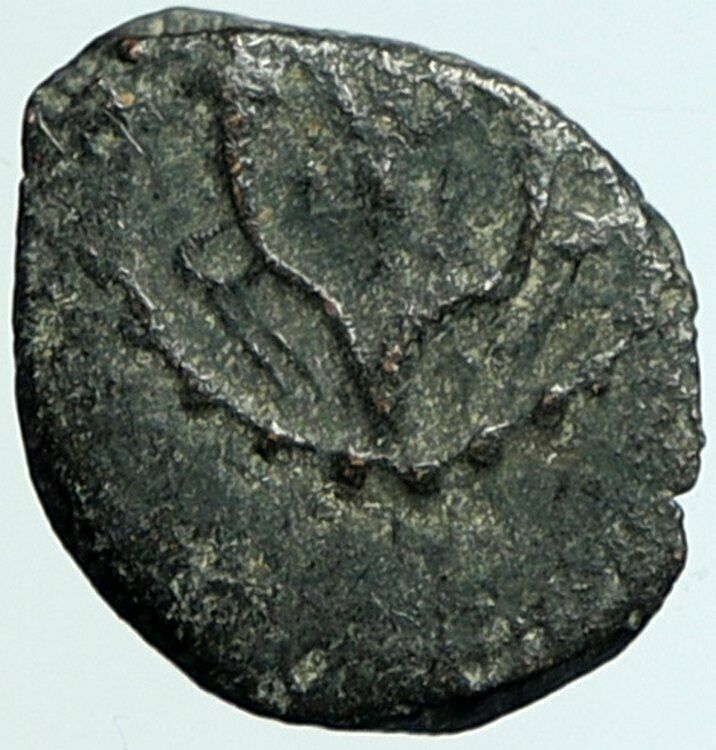 Salome Alexandra JOHN HYRCANUS II or ARISTOBULUS II Ancient Jewish Coin i104535