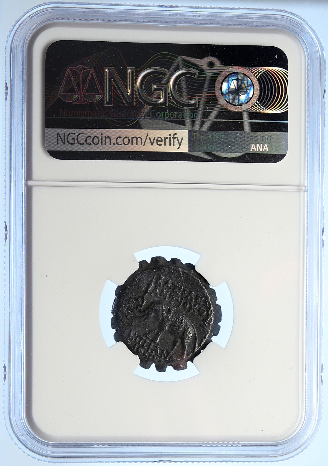 ANTIOCHOS VI Dionysos 144BC Seleukid Ancient OLD Greek Coin ELEPHANT NGC i106754