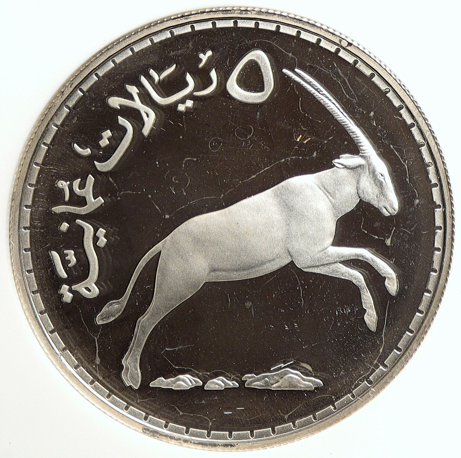 1976 OMAN Conservation Arabian White Oryx Proof Silver 5 Rials Coin NGC i106764