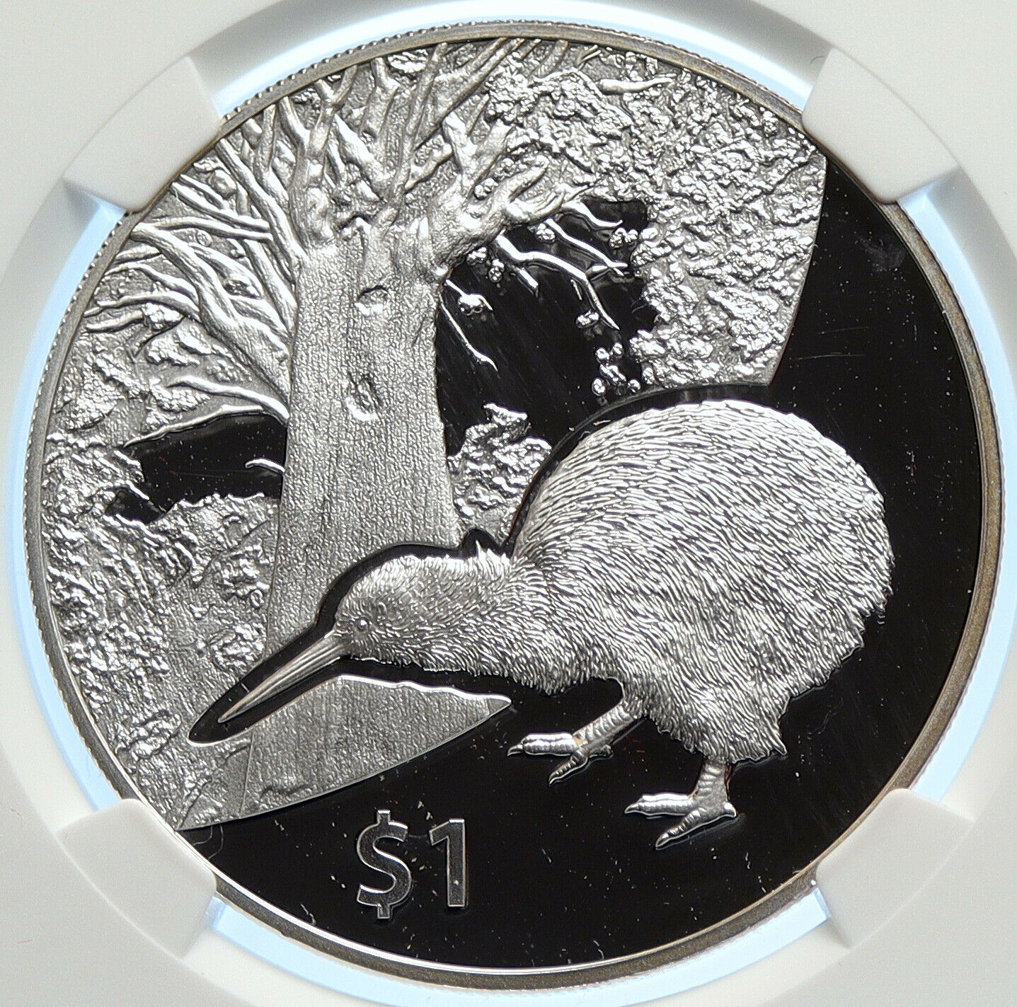 2013 NEW ZEALAND UK Queen Elizabeth II Proof Silver $ Coin KIWI BIRD NGC i106790