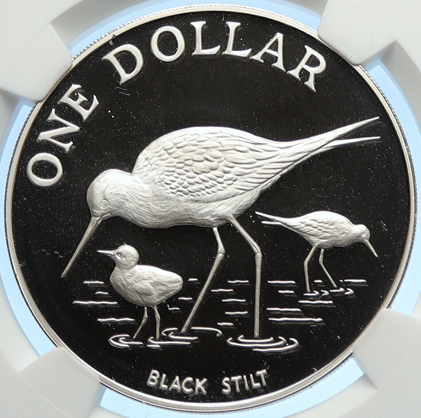 1985 NEW ZEALAND Queen Elizabeth II BLACK STILT Proof Silver $1 Coin NGC i106290