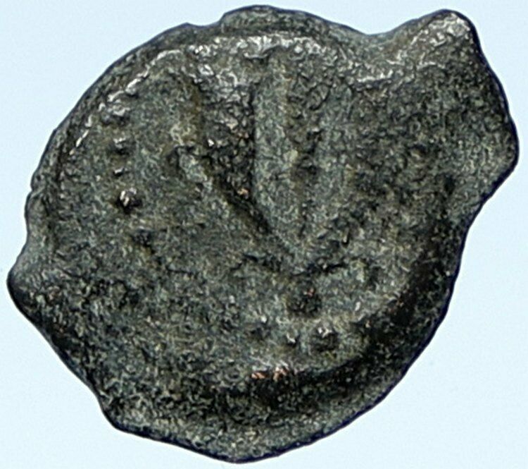 MATTATAYAH Mattathias Antiogonus Biblical Jerusalem Ancient Greek Coin i106910