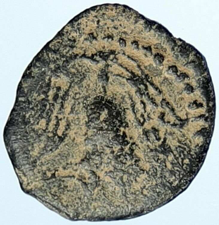 HEROD ARCHELAUS Biblical JERUSALEM Jewish OLD Ancient Greek Coin GRAPES i106915