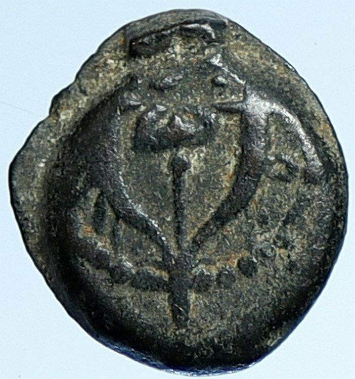 ALEXANDER JANNAEUS Biblical Jerusalem Ancient Jewish Widow's Mite Coin i106959