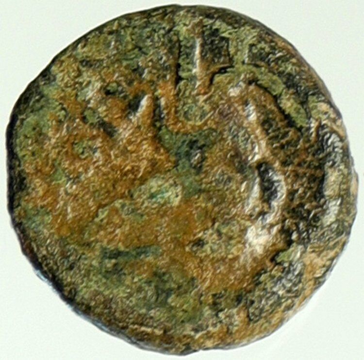 SELEUKOS IV Philopater Seleukid OLD Greek Coin QUEEN LAODIKE IV Elephant i105130