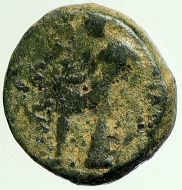 SELEUKOS III Keraunos 225BC Seleukid Ancient Greek Coin ARTEMIS APOLLO i105125