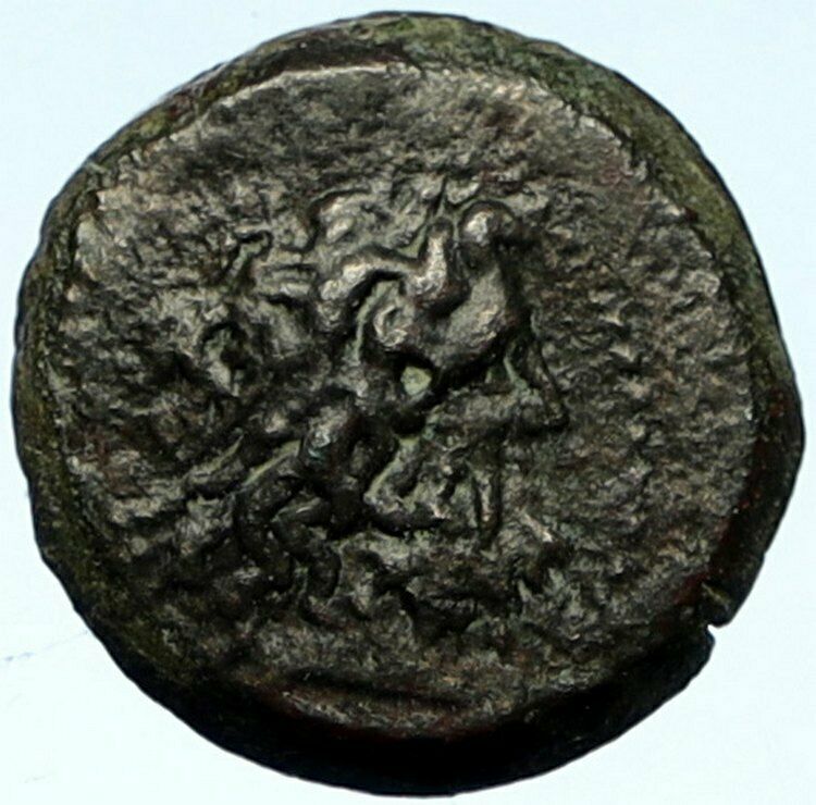 Ptolemy III Euergetes 230BC Telmessos Egypt Zeus Ammon Eagle Greek Coin i102721