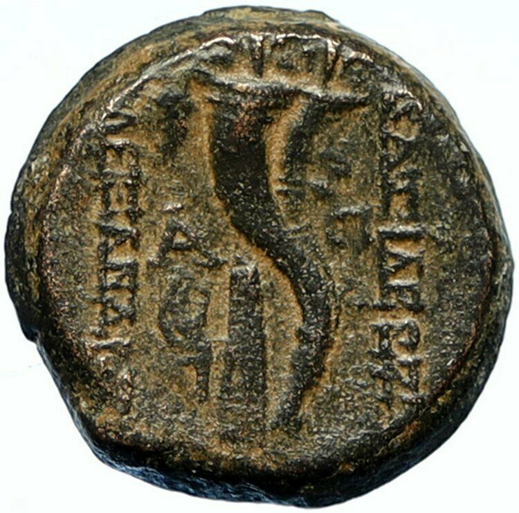 ALEXANDER II ZABINAS Seleukid Genuine Ancient OLD Greek Coin CORNUCOPIA i102740