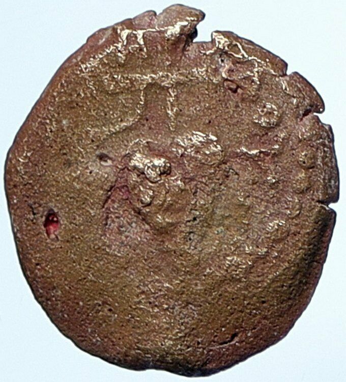 HEROD ARCHELAUS Biblical JERUSALEM Jewish OLD Ancient Greek Coin GRAPES i107041