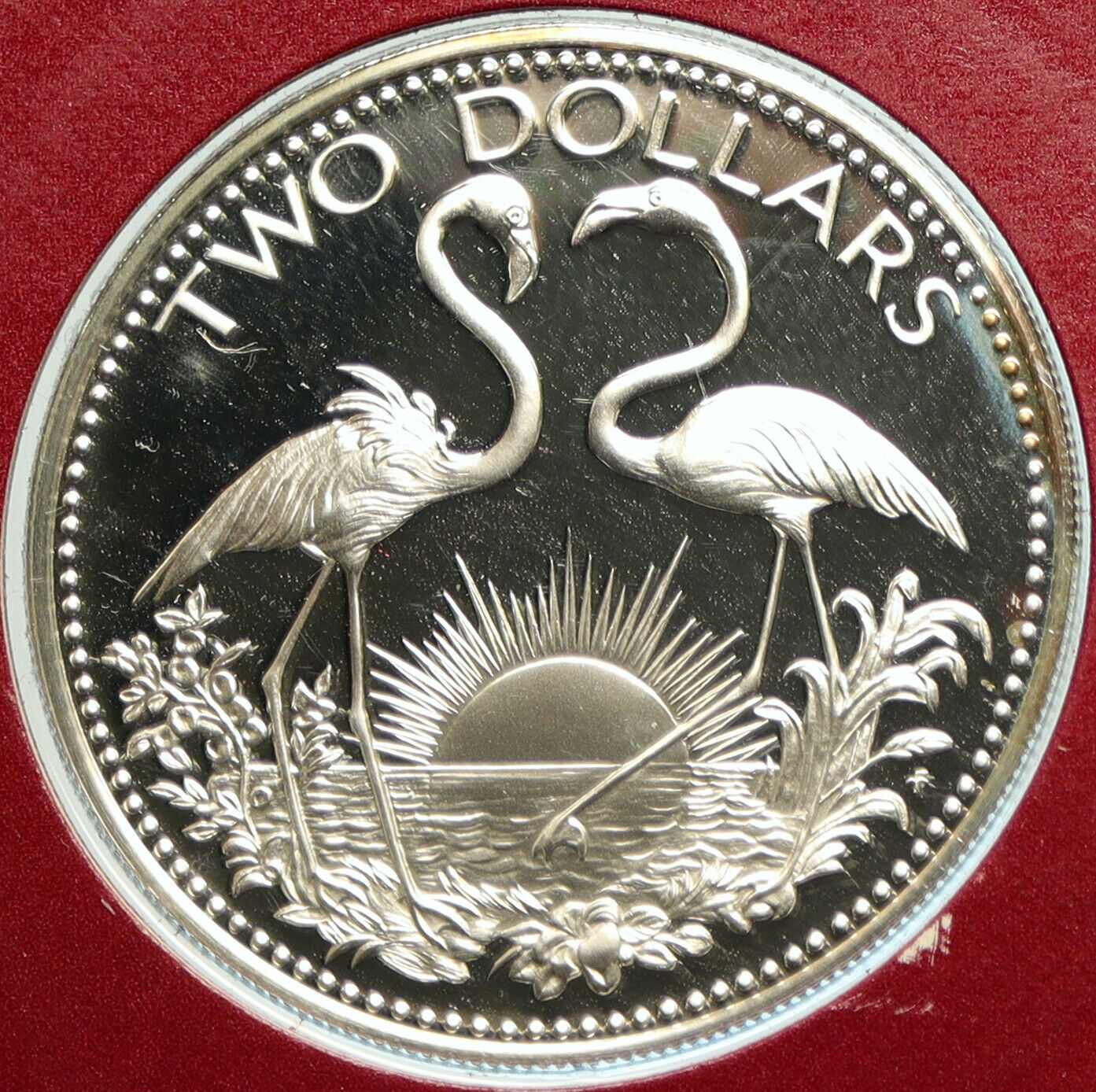 1976 The BAHAMAS Islands TWO FLAMINGOS Old Proof Silver 2 Dollar Coin i104863