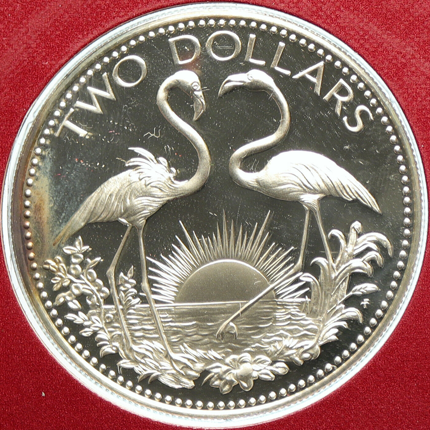 1976 The BAHAMAS Islands TWO FLAMINGOS Old Proof Silver 2 Dollar Coin i104867