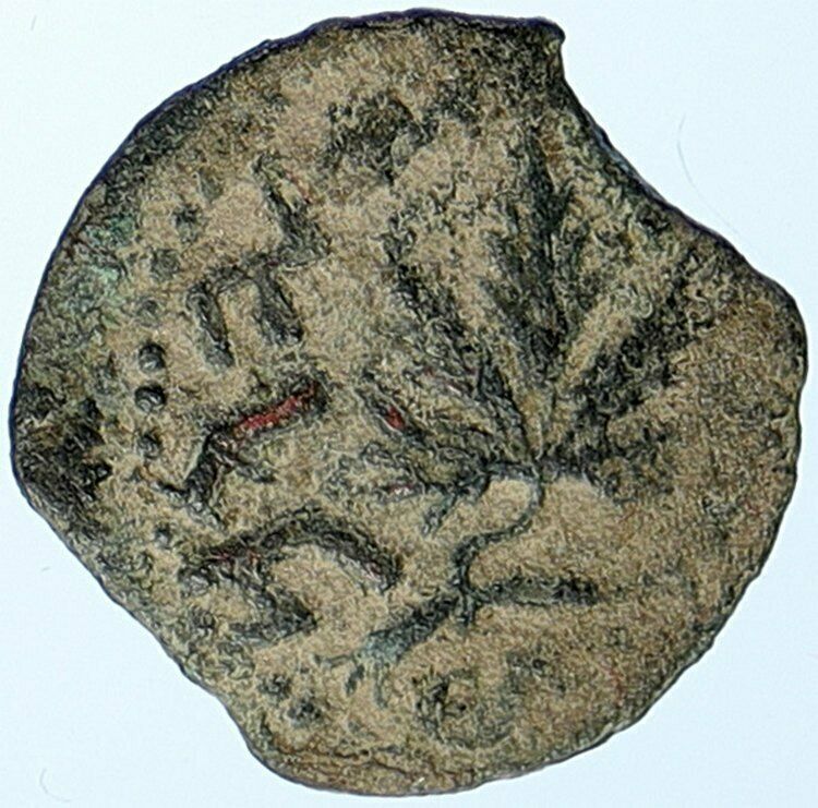 Authentic Ancient JEWISH WAR v ROMAN 68AD Yr3 JERUSALEM Old Coin AMPHORA i107004