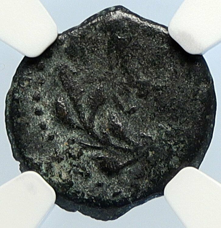 PONTIUS PILATE Tiberius Jerusalem JESUS CHRIST TRIAL Old Roman Coin NGC i106018