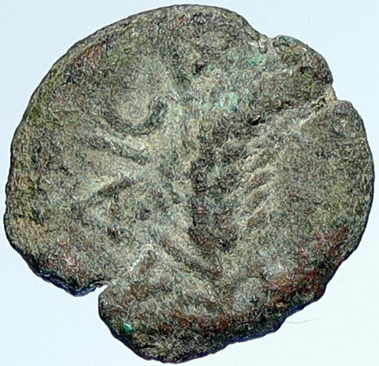 MARCUS AMBIBULUS Augustus Jerusalem Ancient 10-11 AD BIBLICAL Roman Coin i107359