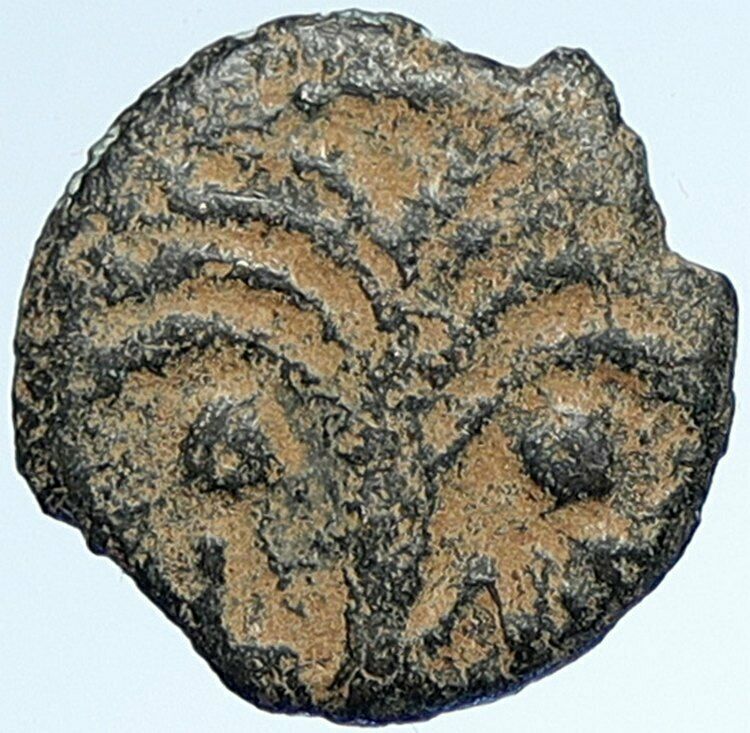 MARCUS AMBIBULUS Augustus Jerusalem Ancient 10-11 AD BIBLICAL Roman Coin i107372