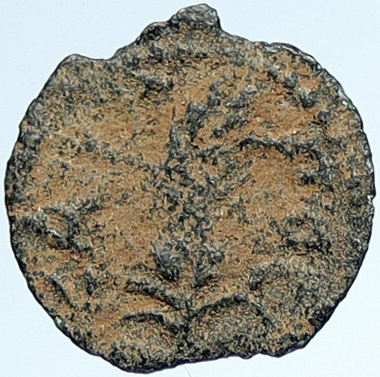 MARCUS AMBIBULUS Augustus Jerusalem Ancient 10-11 AD BIBLICAL Roman Coin i107372