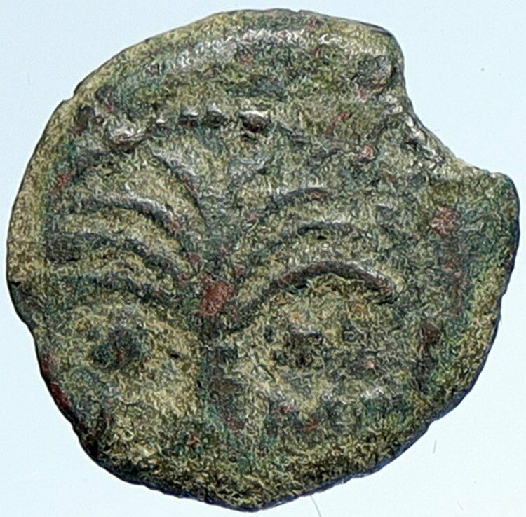 MARCUS AMBIBULUS Augustus Jerusalem Ancient 10-11 AD BIBLICAL Roman Coin i107381