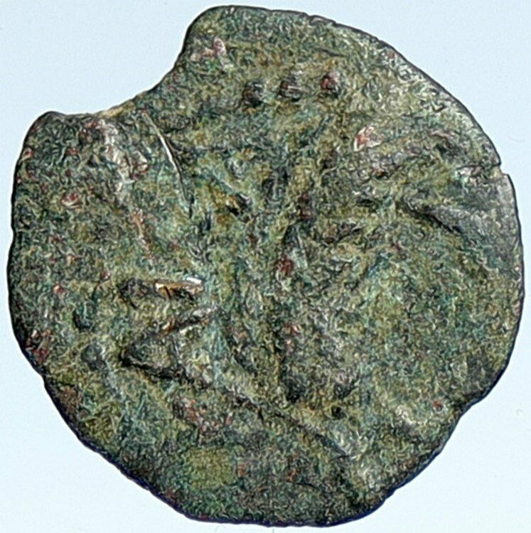 MARCUS AMBIBULUS Augustus Jerusalem Ancient 10-11 AD BIBLICAL Roman Coin i107381