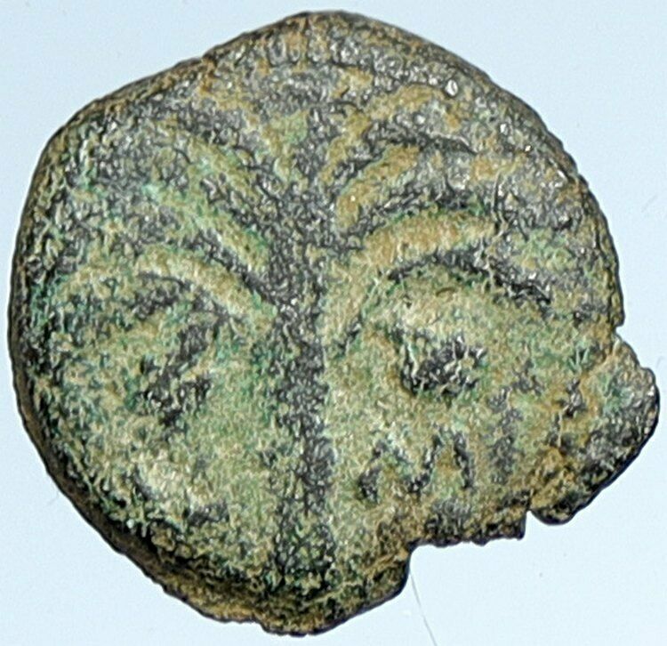 MARCUS AMBIBULUS Augustus Jerusalem Ancient 10-11 AD BIBLICAL Roman Coin i107375