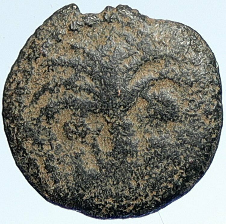 MARCUS AMBIBULUS Augustus Jerusalem Ancient 9AD OLD BIBLICAL Roman Coin i107400