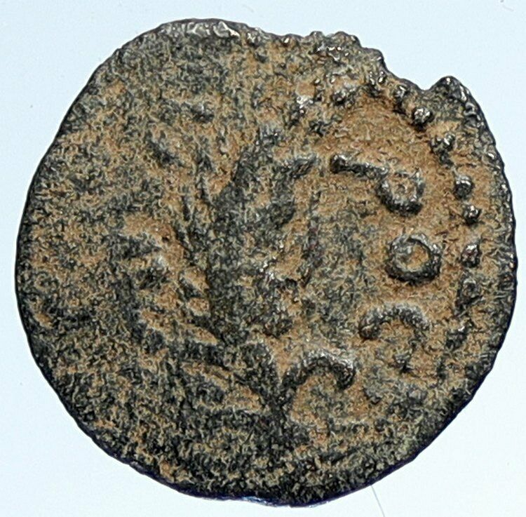 MARCUS AMBIBULUS Augustus Jerusalem Ancient 9AD OLD BIBLICAL Roman Coin i107400