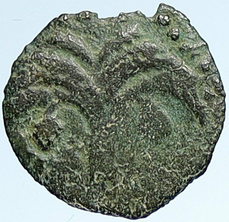 MARCUS AMBIBULUS Augustus Jerusalem Ancient 9AD OLD BIBLICAL Roman Coin i107364