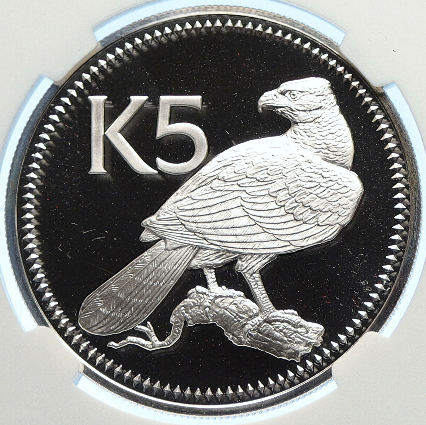 1976 PAPUA NEW GUINEA w PAPUAN Harpy EAGLE Proof Silver 5 Kina Coin NGC i106354