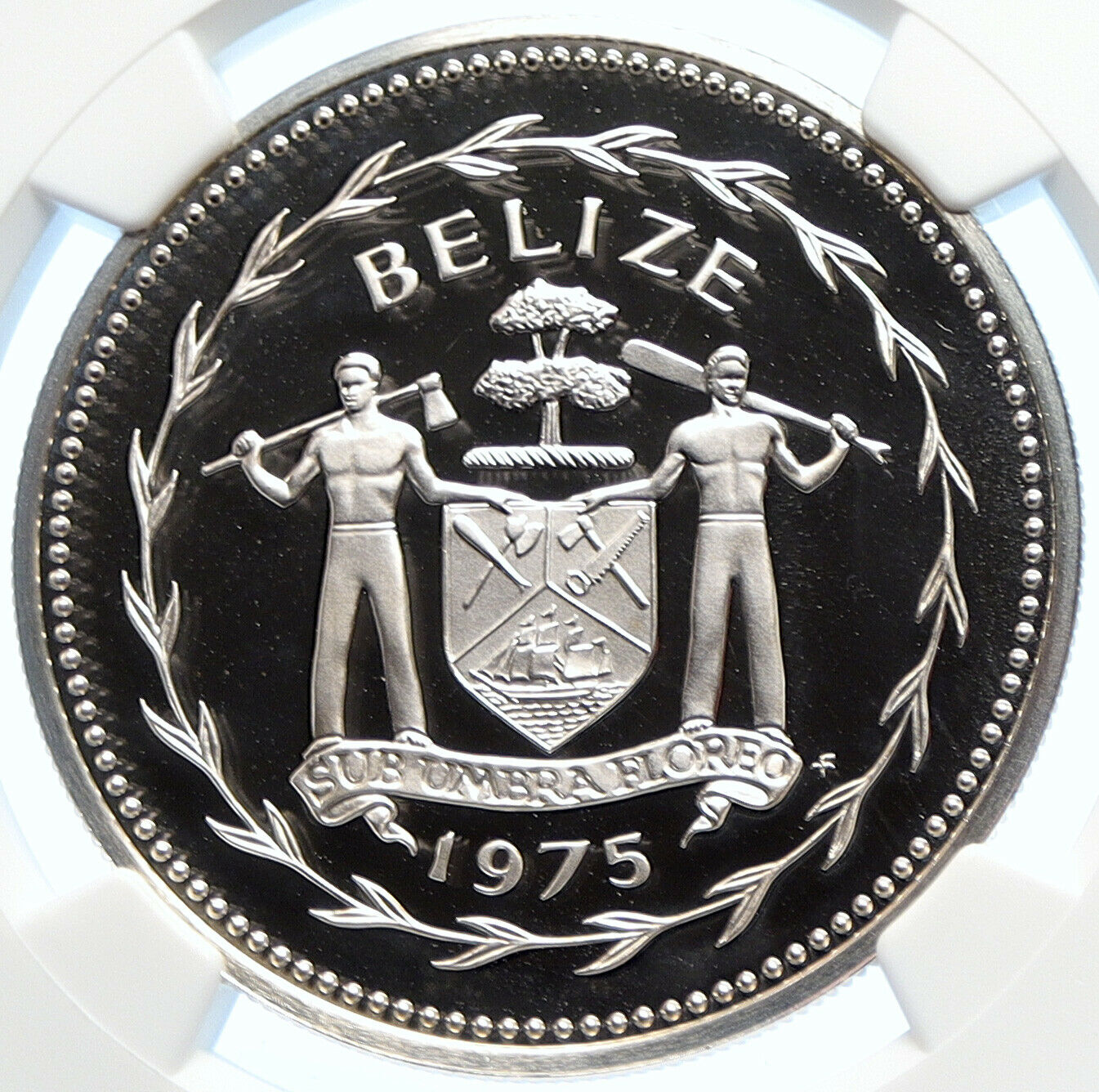 1975 BELIZE Authentic LARGE VINTAGE Proof Silver $5 Coin TOUCAN BIRD NGC i106365