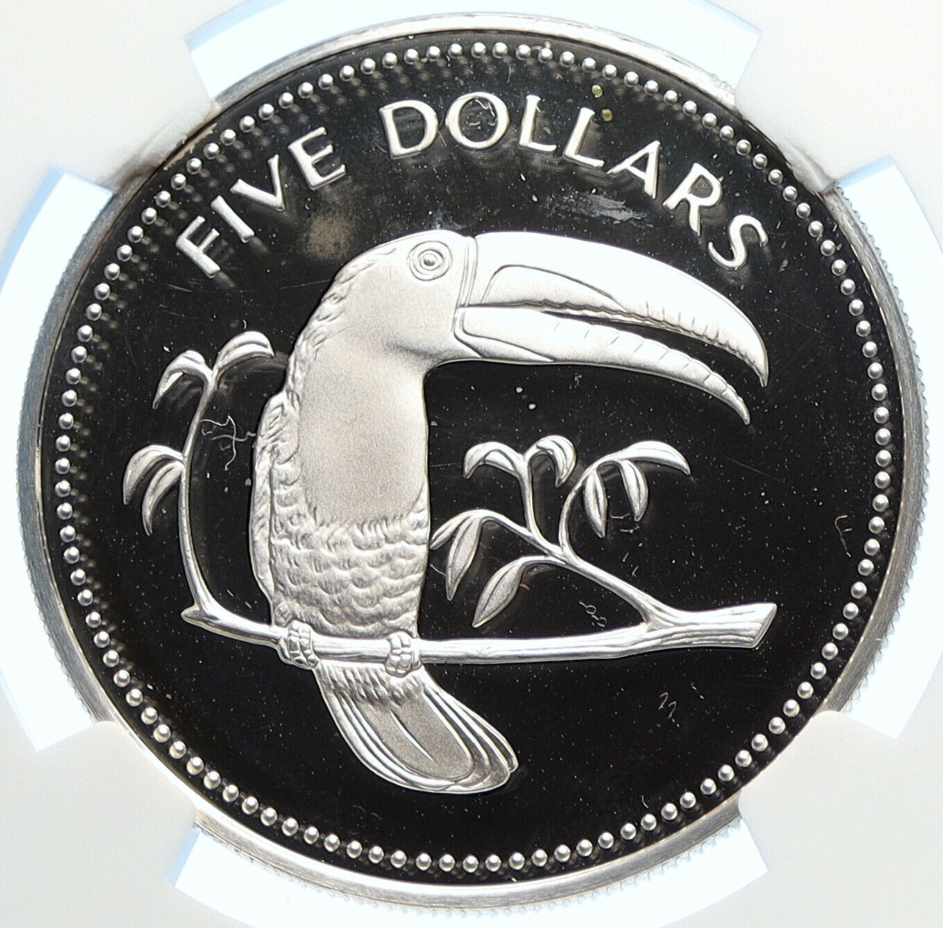 1975 BELIZE Authentic LARGE VINTAGE Proof Silver $5 Coin TOUCAN BIRD NGC i106365