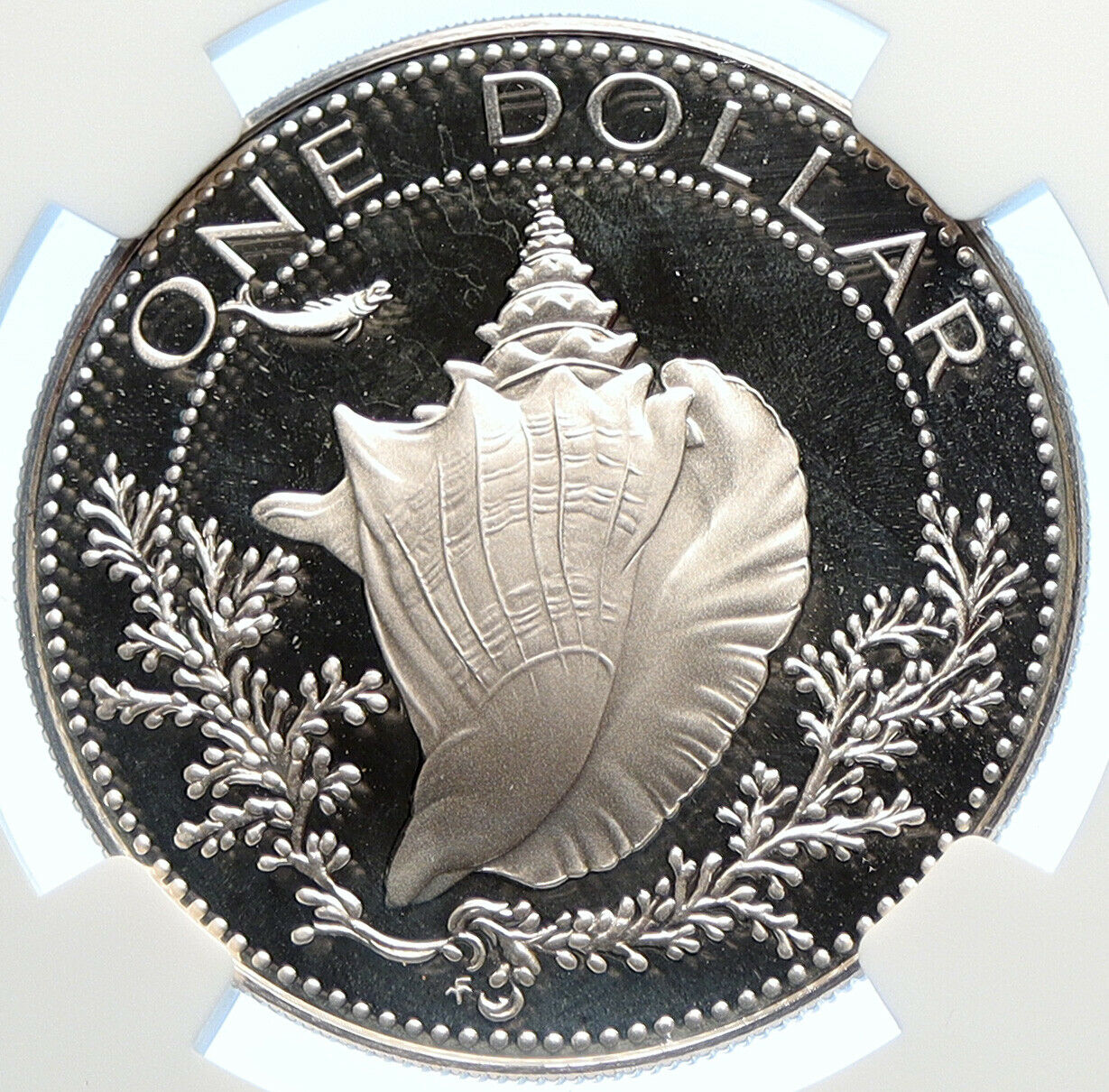 1978 BAHAMAS Pretty CONCH SHELL Vintage OLD Proof Silver Dollar Coin NGC i106370