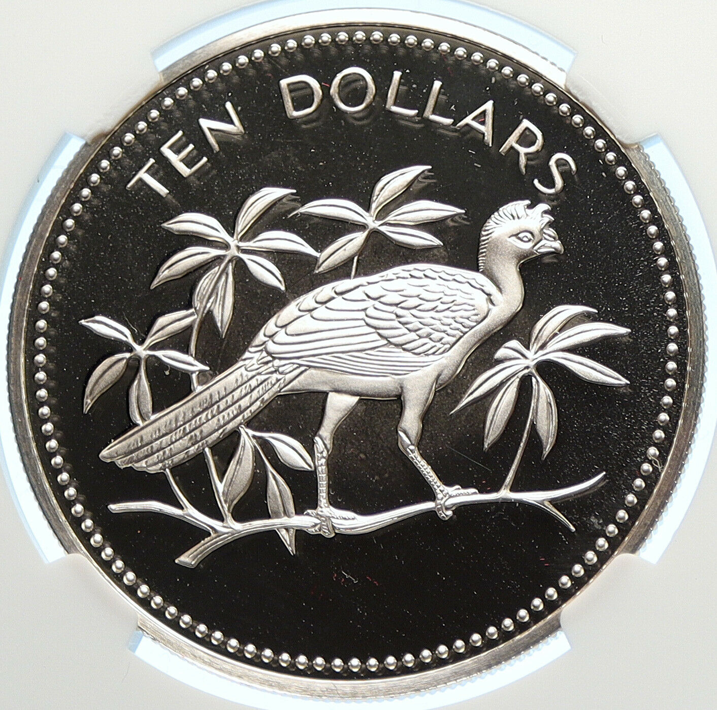 1977 BELIZE Avifauna Great Curassow BIRD Old Proof Silver $10 Coin NGC i106352