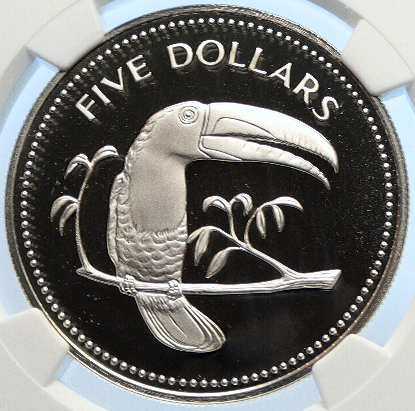 1977 BELIZE Avifauna Toucan BIRD Old VINTAGE Proof Silver $5 Coin NGC i106417