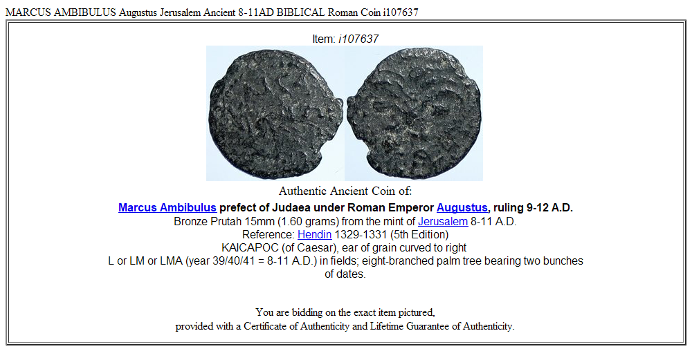 MARCUS AMBIBULUS Augustus Jerusalem Ancient 8-11AD BIBLICAL Roman Coin i107637