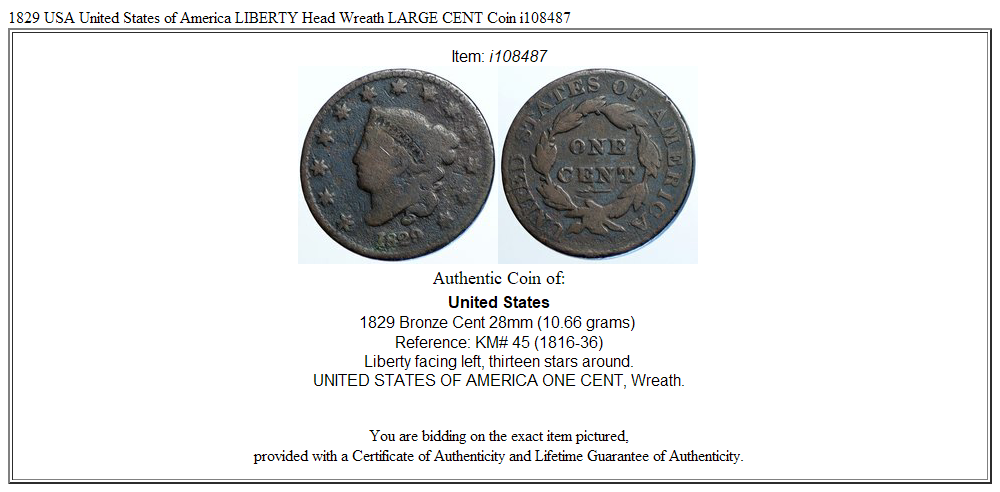 1829 USA United States of America LIBERTY Head Wreath LARGE CENT Coin i108487