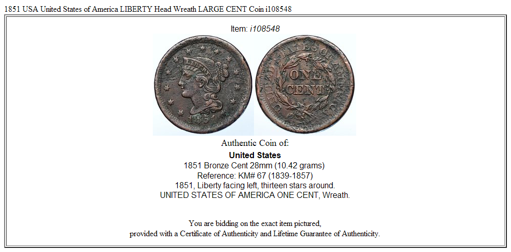 1851 USA United States of America LIBERTY Head Wreath LARGE CENT Coin i108548