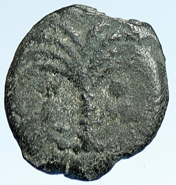 MARCUS AMBIBULUS Augustus Jerusalem Ancient 10-11 AD BIBLICAL Roman Coin i107413