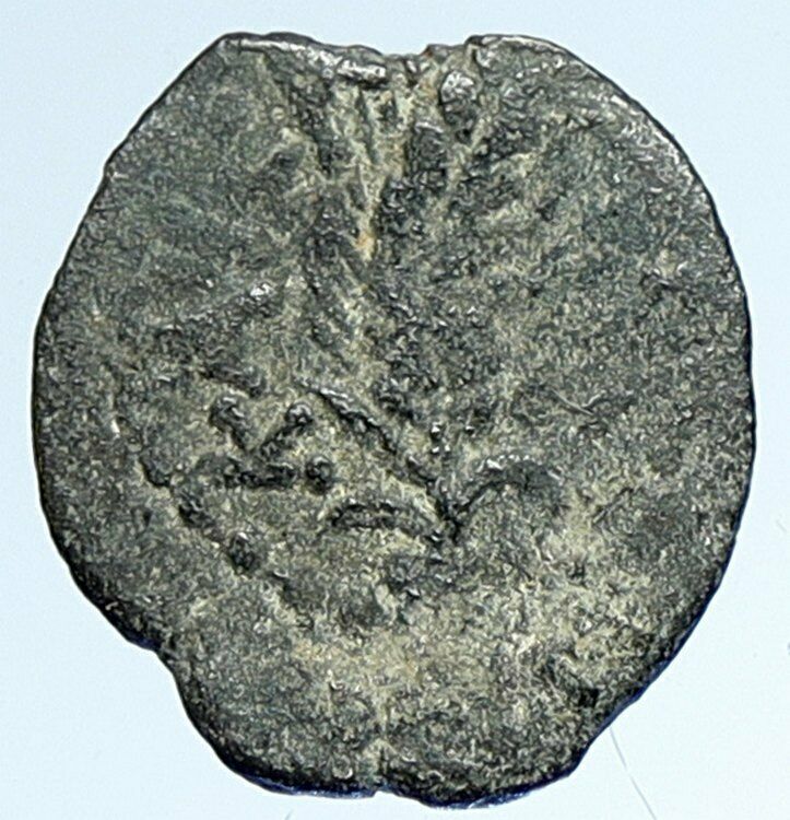 MARCUS AMBIBULUS Augustus Jerusalem Ancient 10-11 AD BIBLICAL Roman Coin i107413